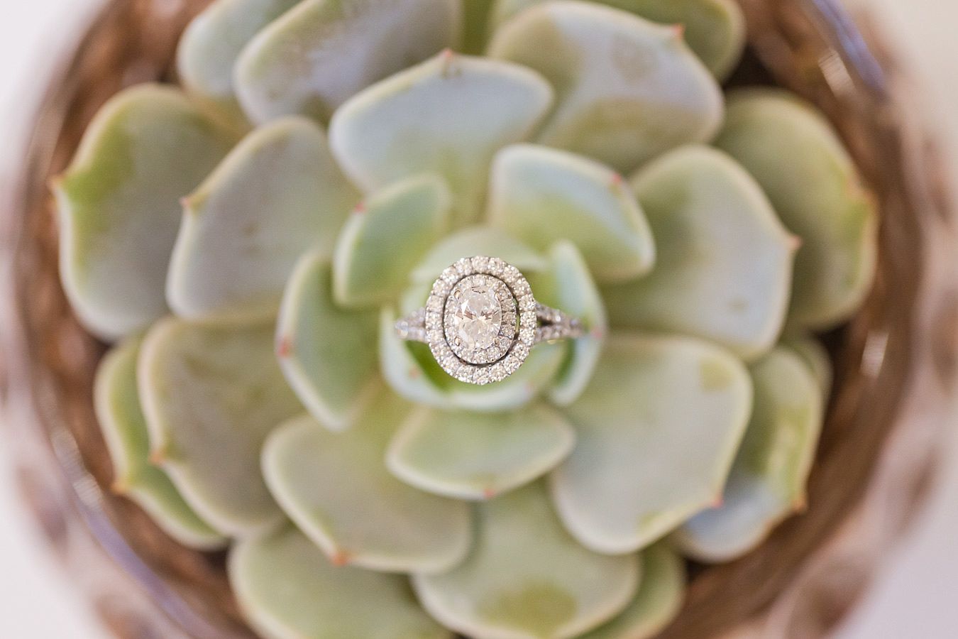 succulents wedding flowers, diamond wedding ring