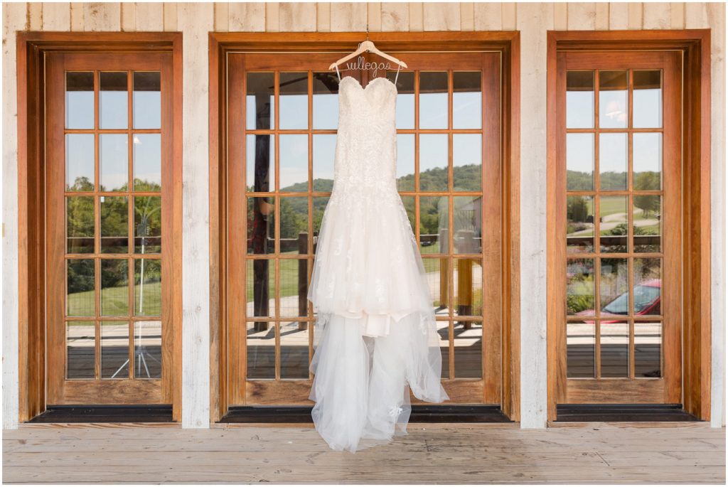 Chaumette Vineyards and Winery Wedding Ste. Genevieve Photographer Aleen and Rich brides dress