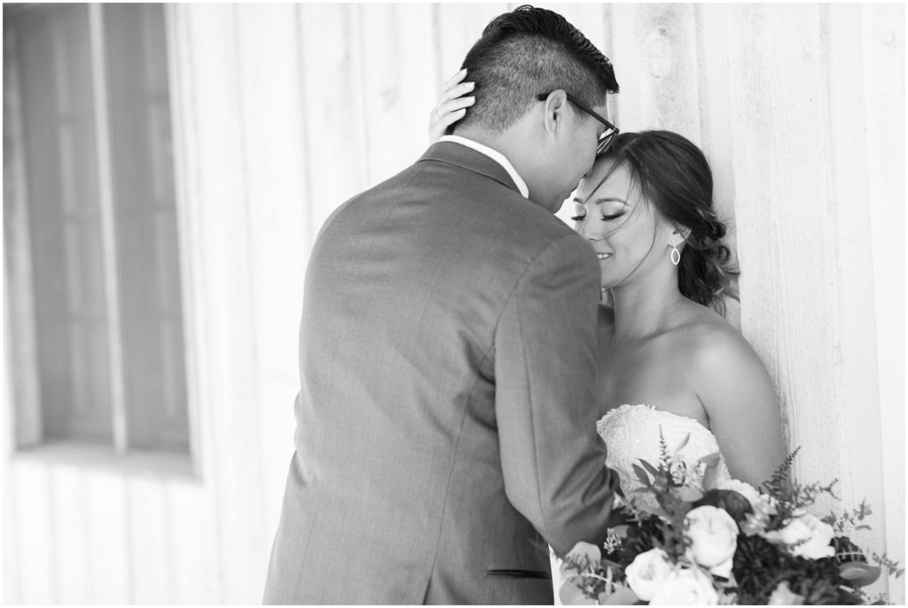 Chaumette Vineyards and Winery Wedding Ste. Genevieve Photographer Aleen and Rich bride and groom portrait