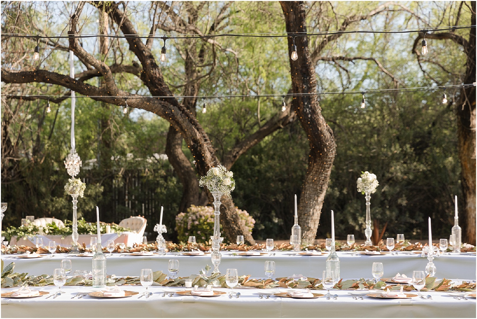 Intimate Backyard Wedding Tucson, AZ Chanel + Eddie outdoor reception