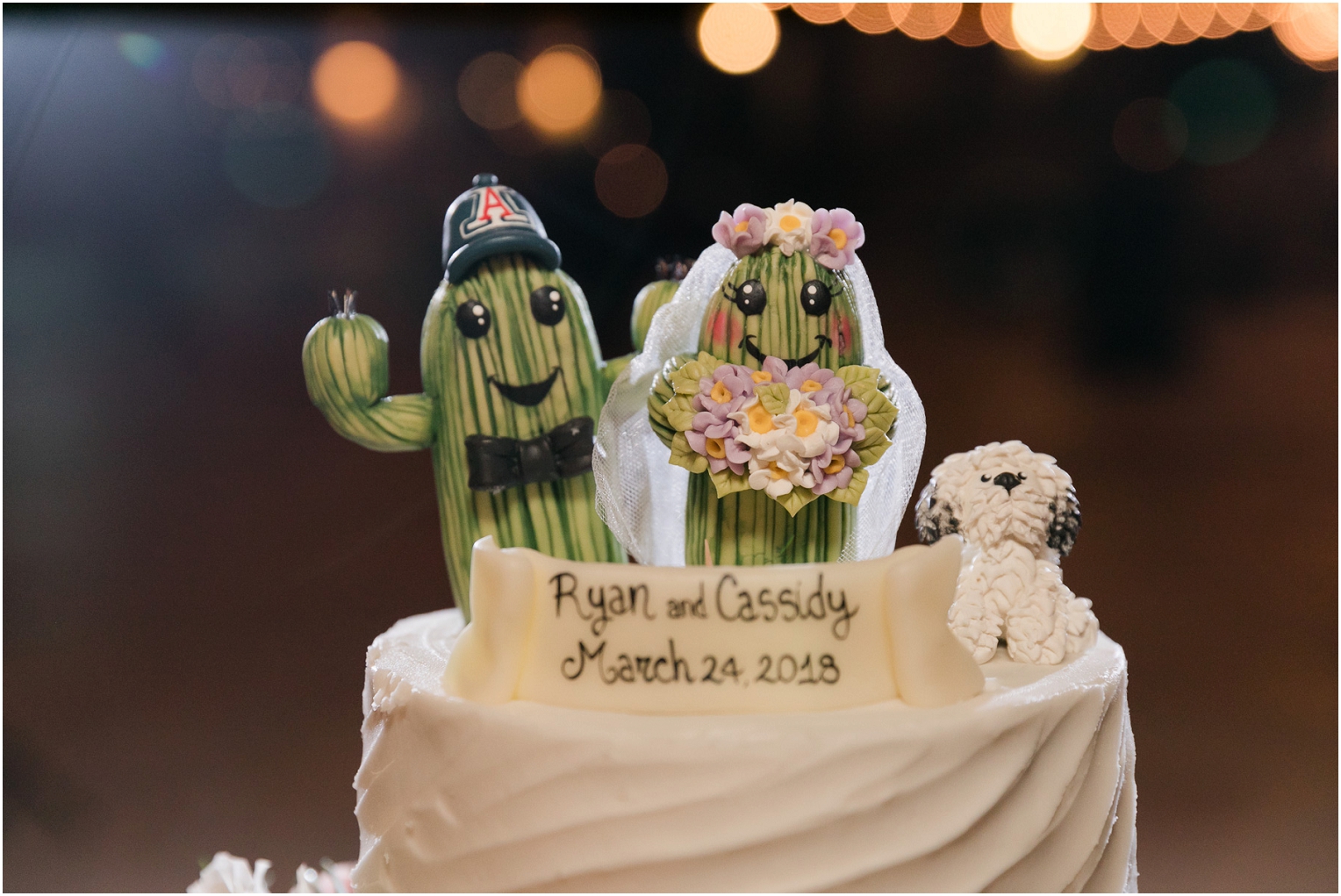 Oasis at Wild Horse Ranch Wedding Tucson AZ Cassidy and Ryan cake toppers
