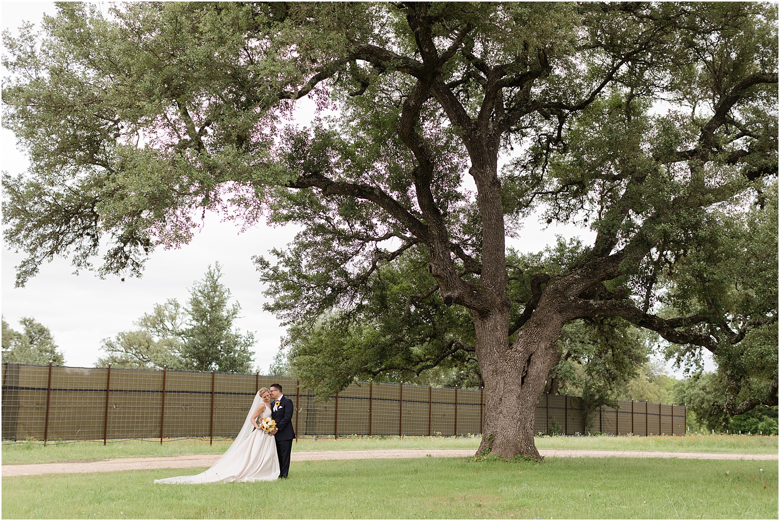 Garden Grove Wedding Venue in Austin, Texas Sarah & Viktor light blue and sunflower wedding bride and groom photos
