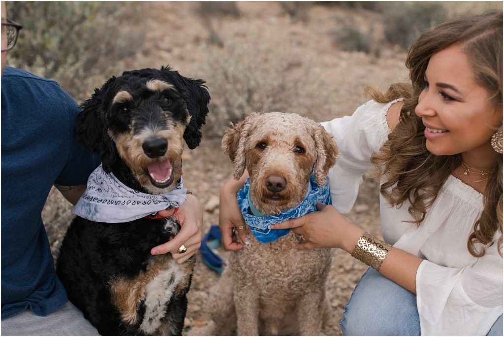 Gates Pass Engagement Session Tucson, AZ Nitasha + Kyle casual and fun desert engagement session photo with bride and groom's two dogs in bandanas
