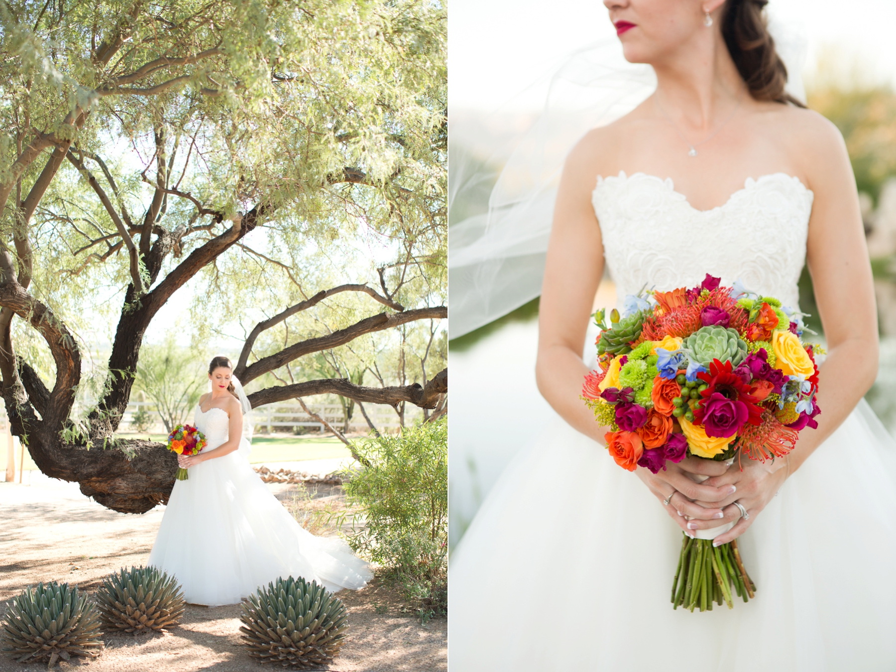 Tucson wedding venue