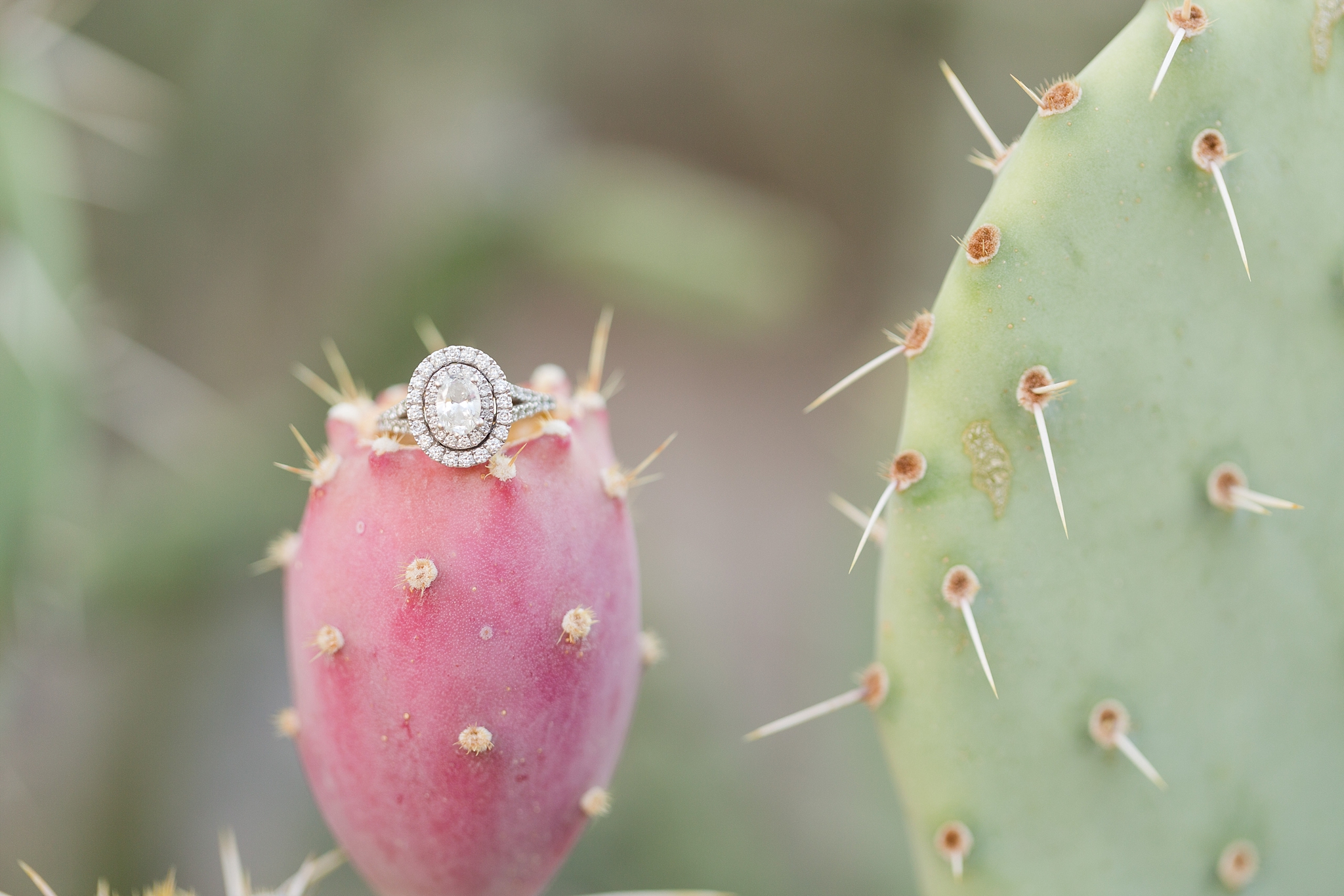 engagement ring photo