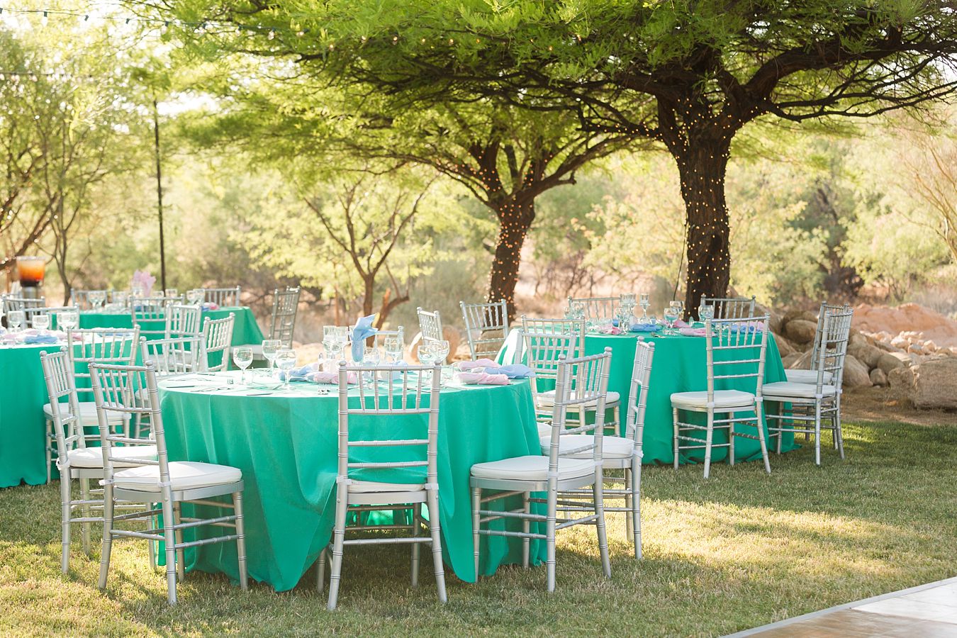 Tucson-Wedding-Venues_0019.jpg Tucson Wedding Venues