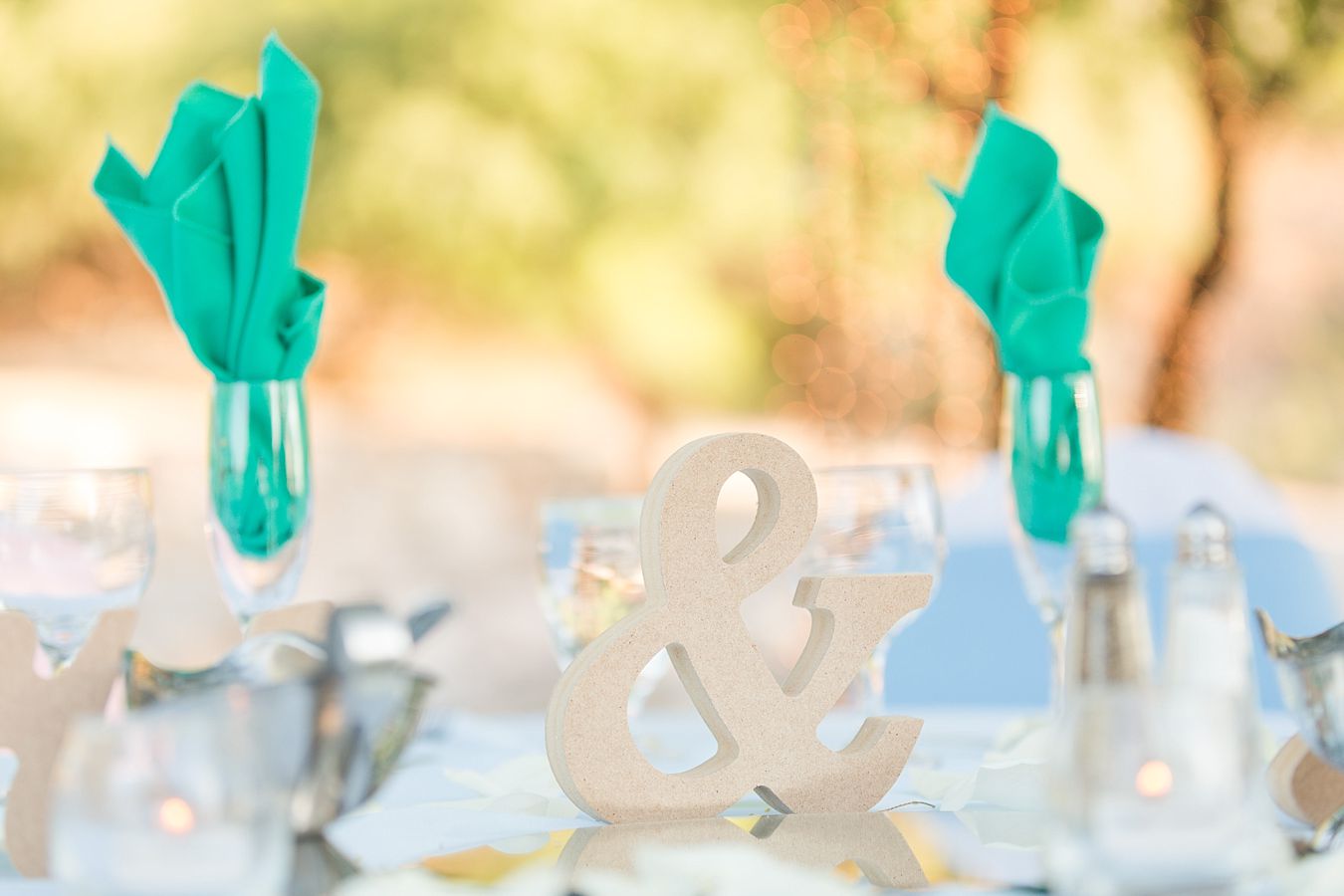 Tucson Wedding Reception Venues