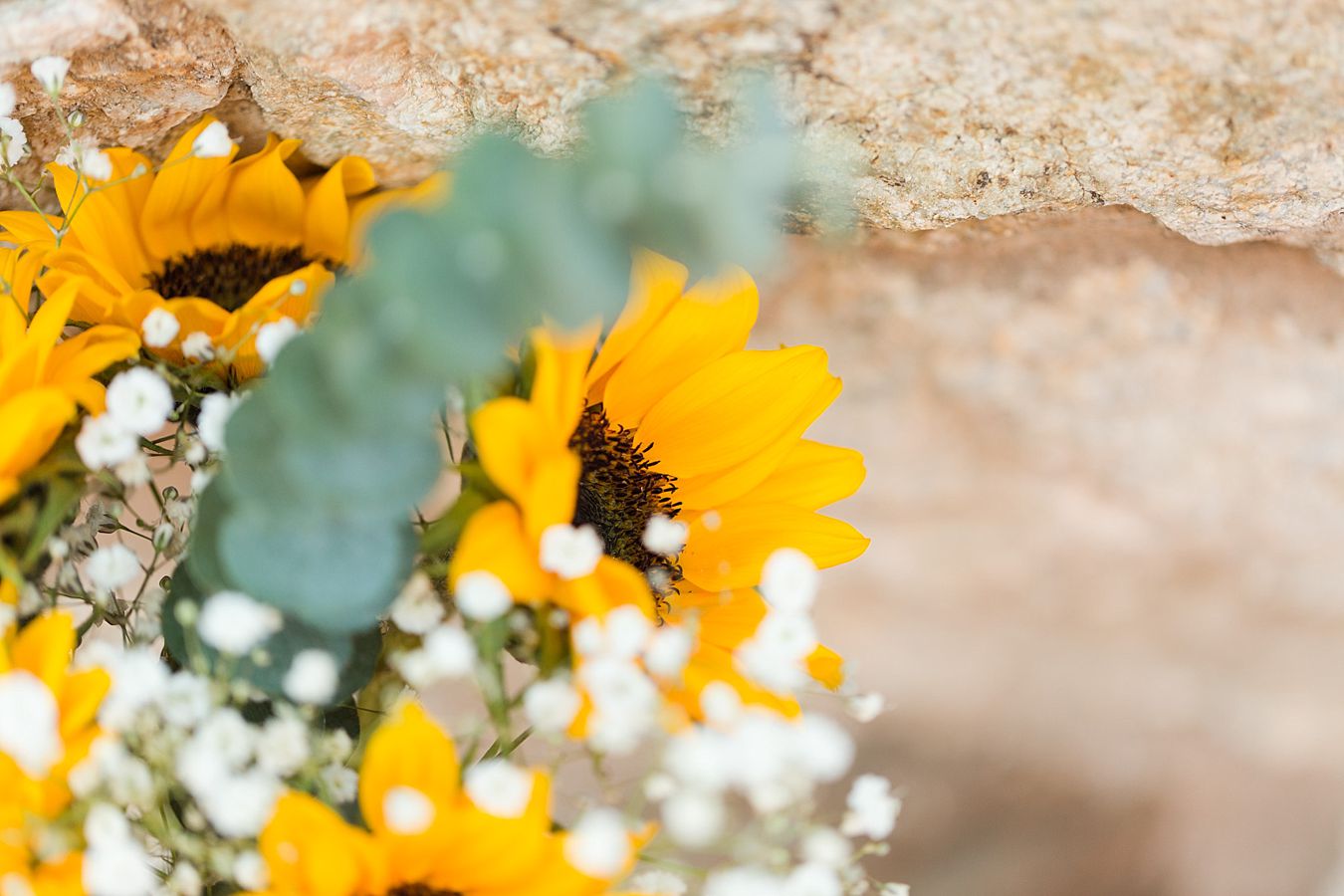 Tanque-Verde-Ranch-Wedding-Photographers_0006.jpg tucson wedding photographers