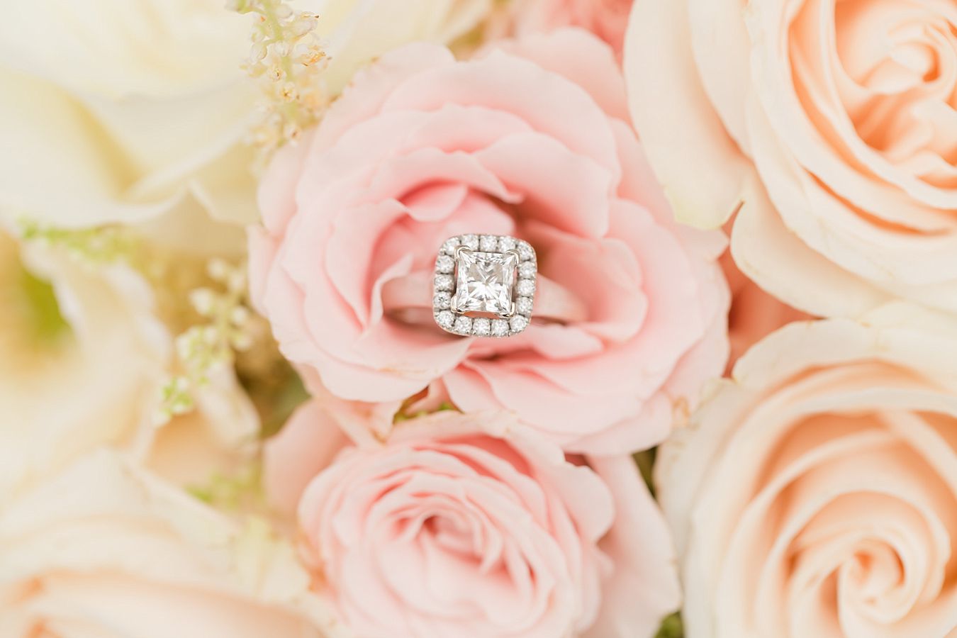 wedding flowers tucson, engagement ring photo