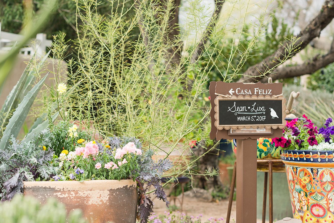 tucson wedding venues