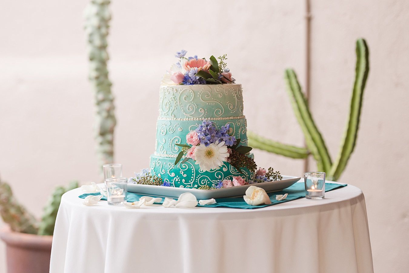 tucson wedding venues, wedding cake