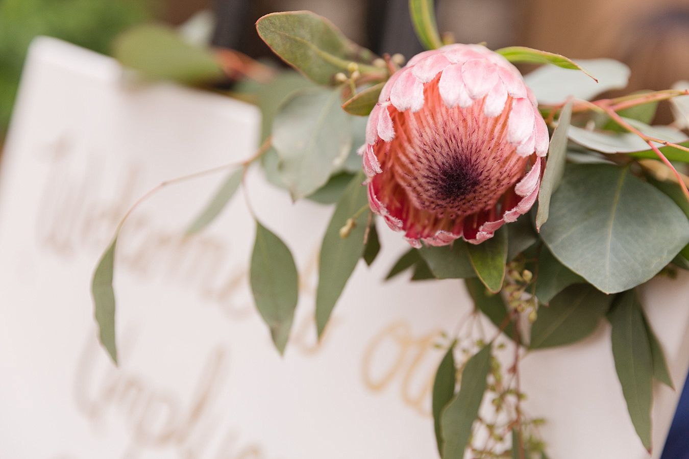 Stillwell-House-Tucson-Wedding-Photographers_0080.jpg stillwell house wedding, tucson wedding venue