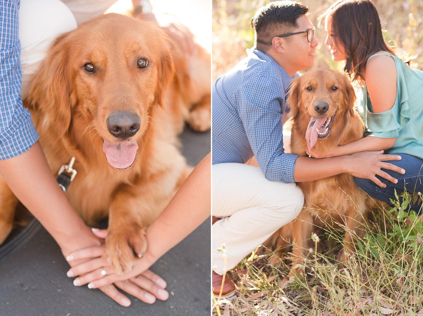 cute engagement photos with dog
